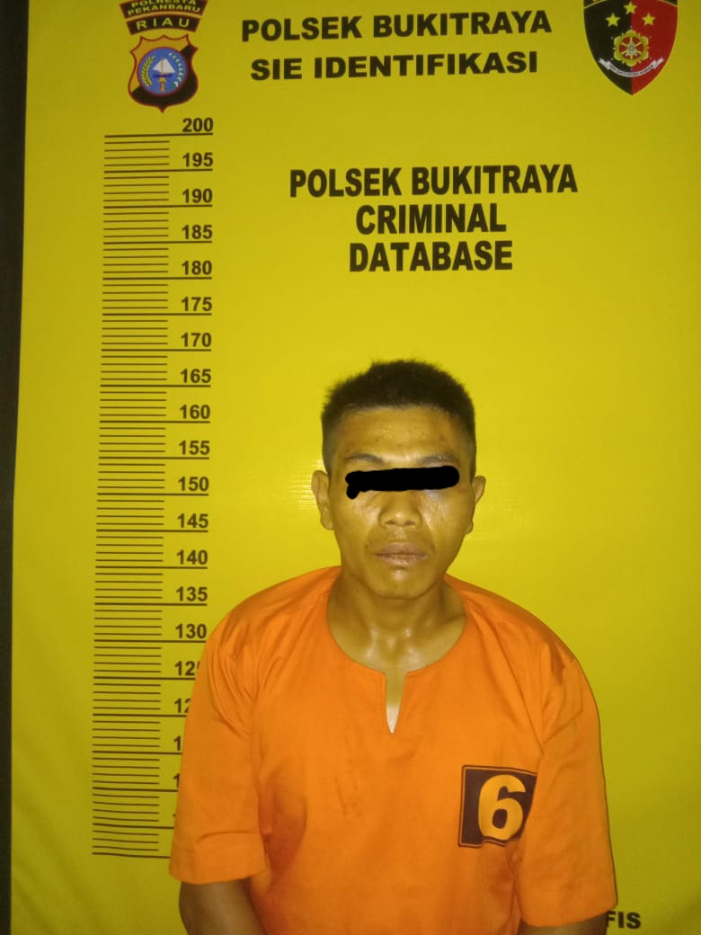 Pelaku Pencurian Diamankan Polisi Setelah Melakukan Aksinya.