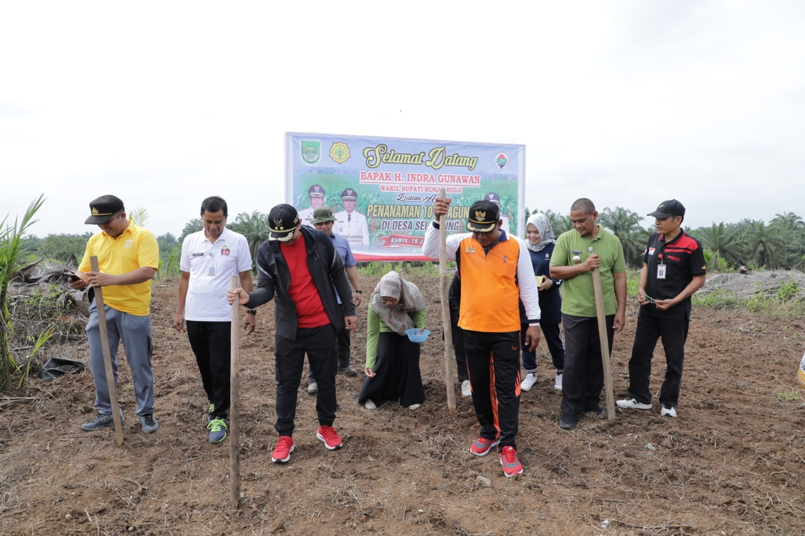 Wabup Rohul Adakan Senam Sehat Sekaligus Penanaman Jagung 10 Hektar Di Desa Sungai kuning