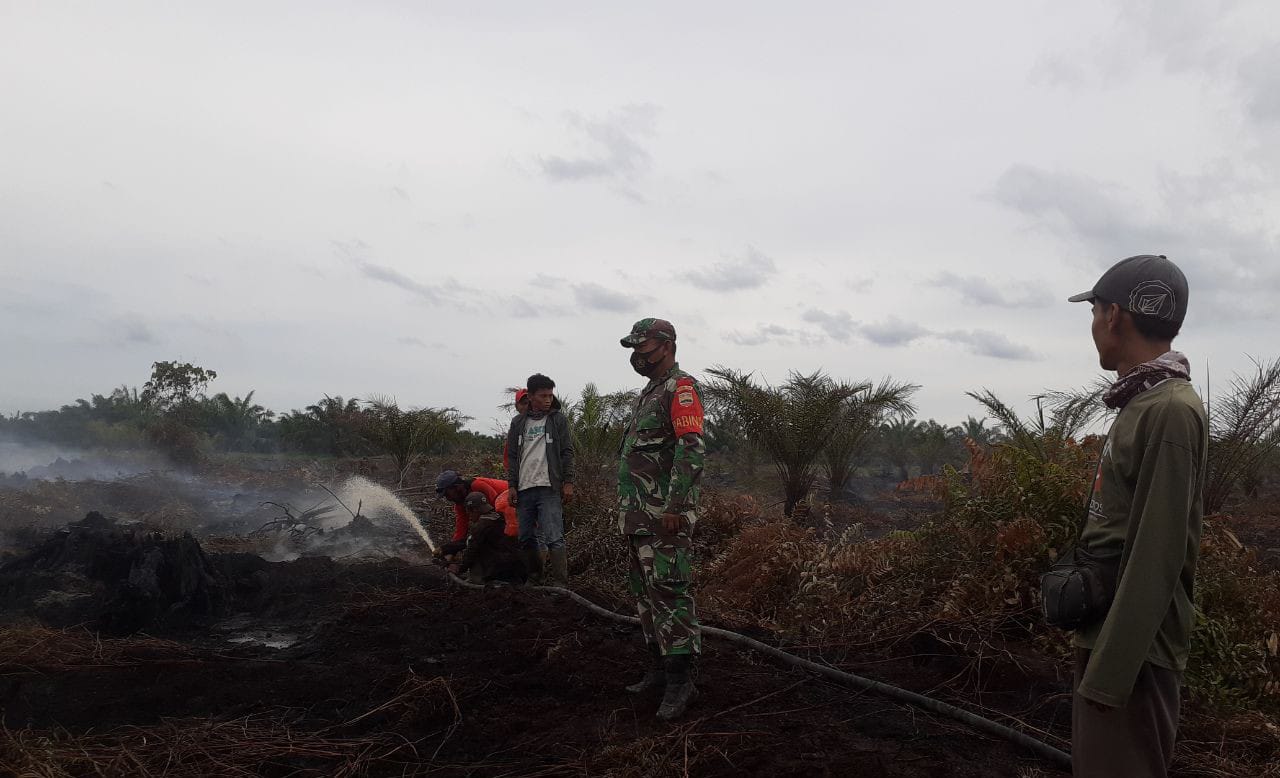 Sudah 2 Hari Petugas Gabungan Padamkan Karhutla di Desa Pauh