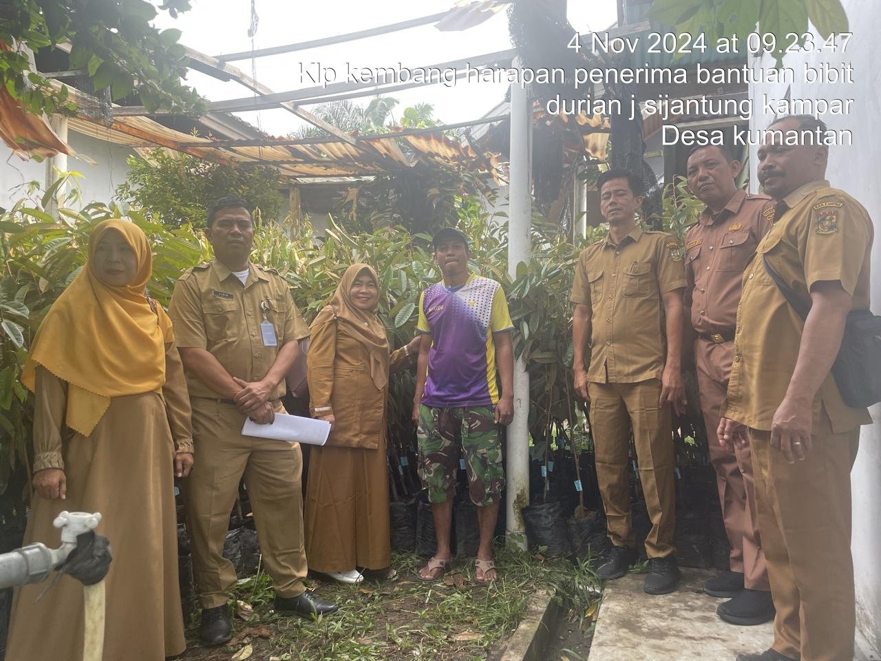 Bibit Durian Lokal Dibagikan Dinas Pertanian Kampar kepada Kelompok Tani Kembang Harapan
