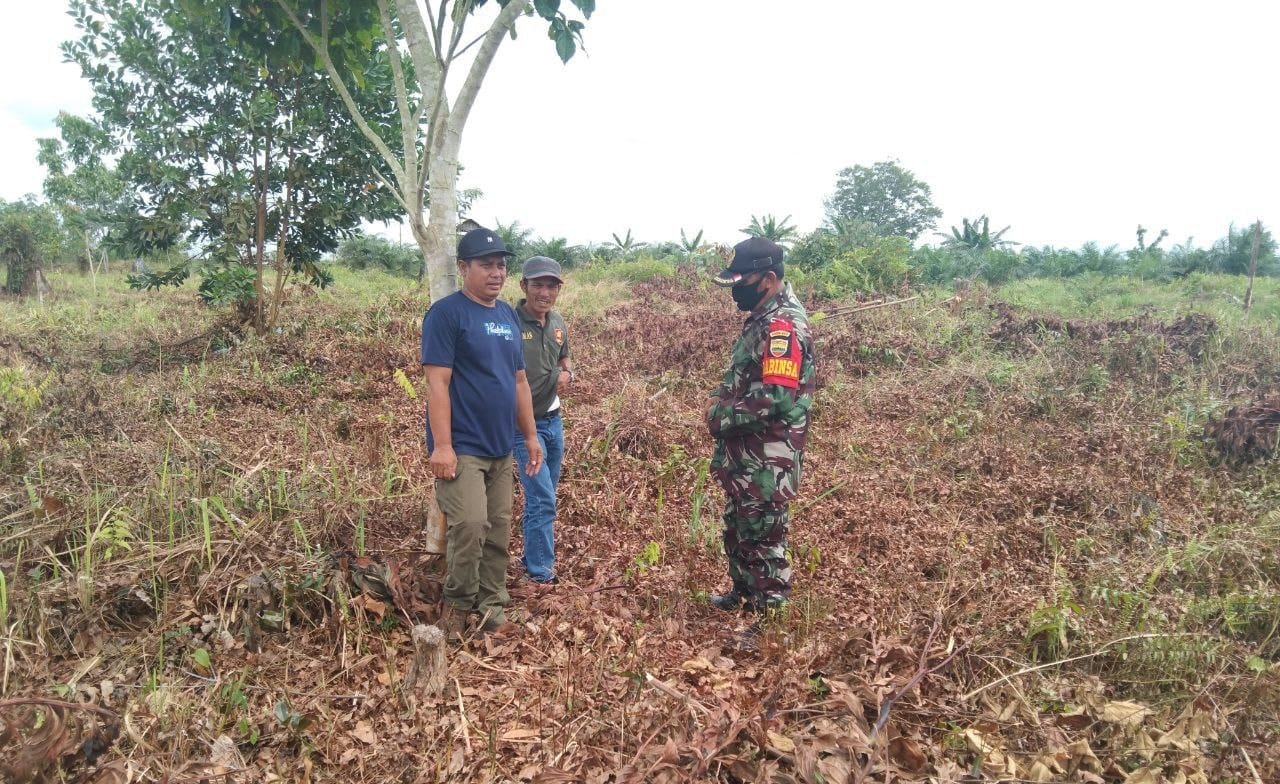 Waspada Kebakaran, Babinsa Koramil 04/Pkl Kuras Lakukan Patroli Karhutla