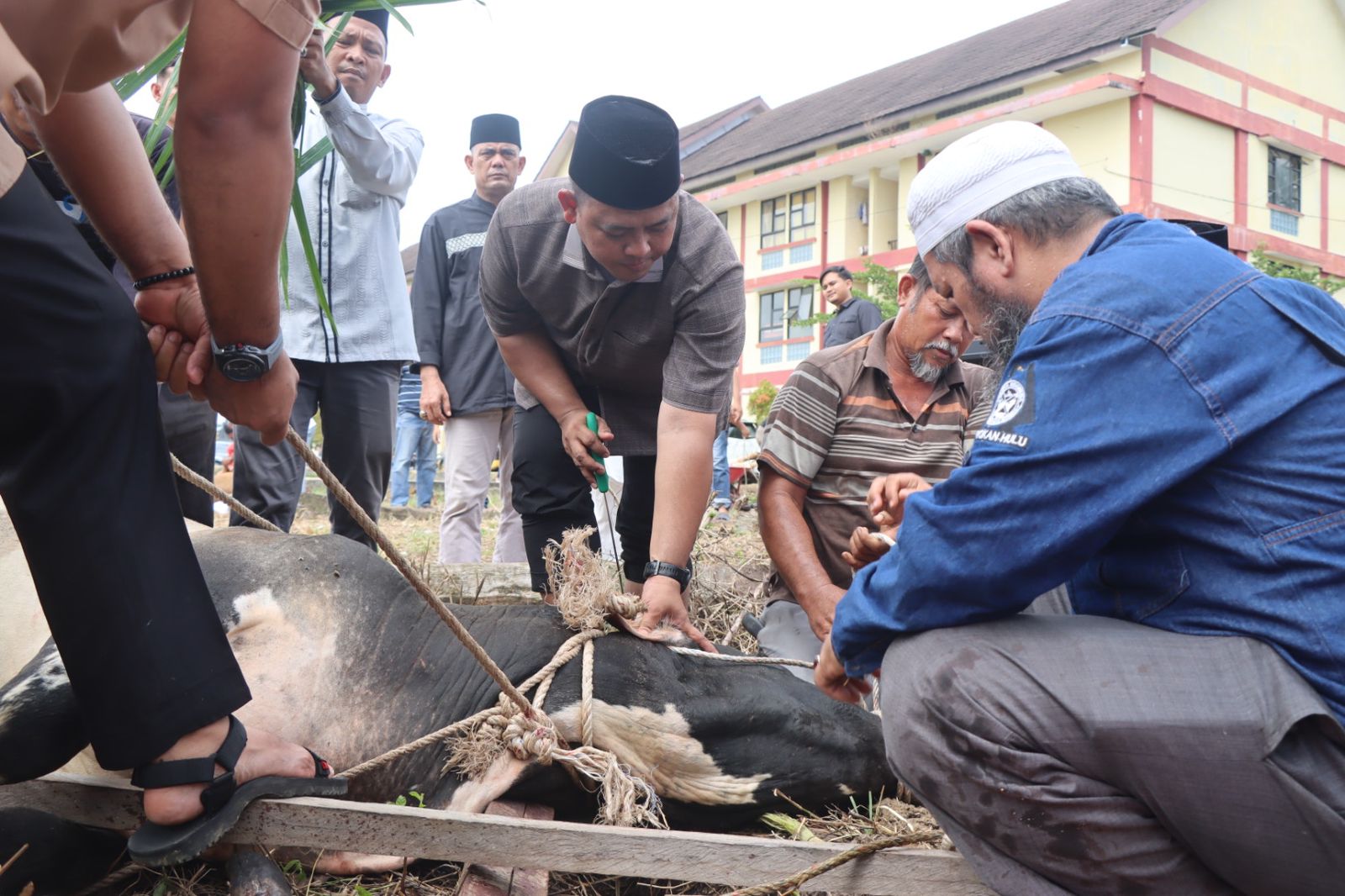 Kapolres Rohul AKBP Budi Pimpin Pelaksanaan Penyembelihan 18 Ekor Hewan Qurban