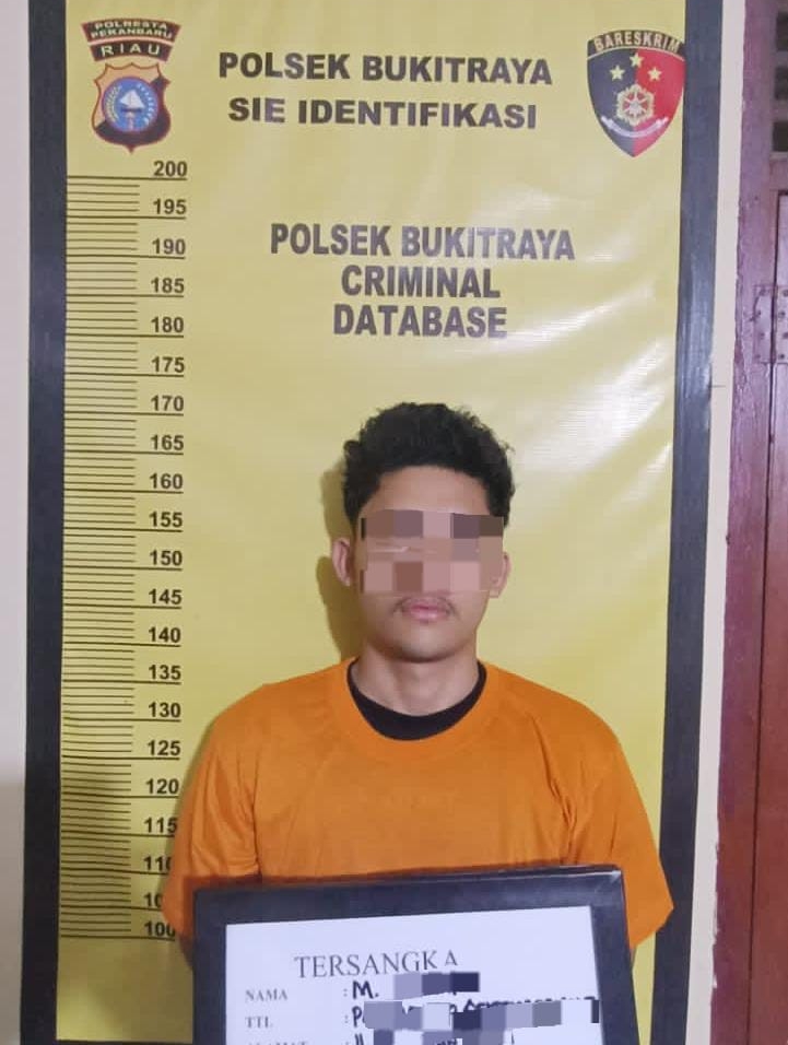 Pemuda di Pekanbaru Berhasil Diringkus Polsek Bukit Raya, Diduga Jual Pil Ekstasi Tengkorak
