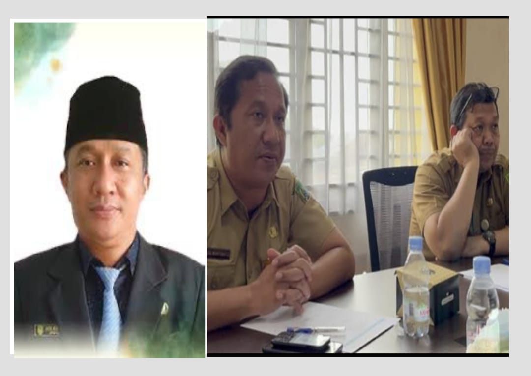 Berikut Dikatakan Kepala BKPSDM Rohil, Terkait Pengangkatan Camat Tanah Putih dan Plt Lurah