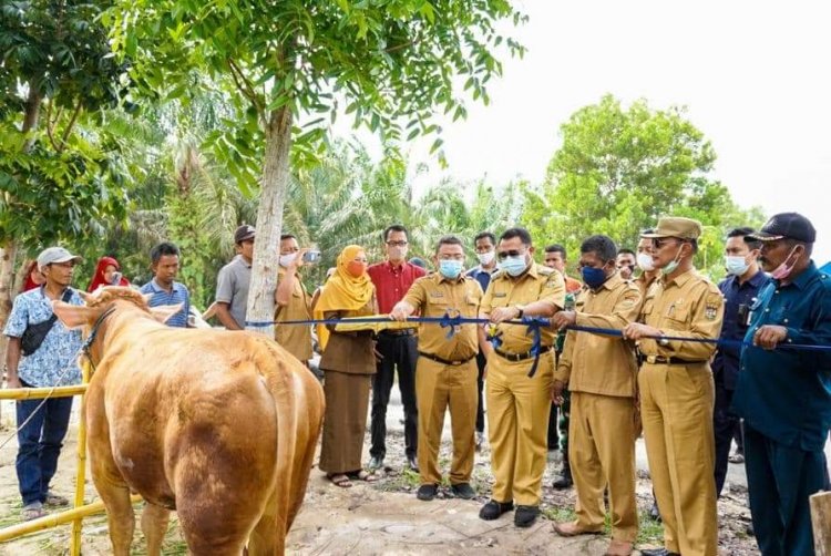 Bupati Kampar Resmikan Pasar Ternak di Sei Lembu Makmur 