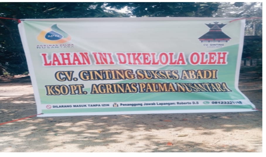 Kebun Sawit Dipanen Tanpa Izin, Warga Kota Lama Desak Aparat Hukum Bertindak