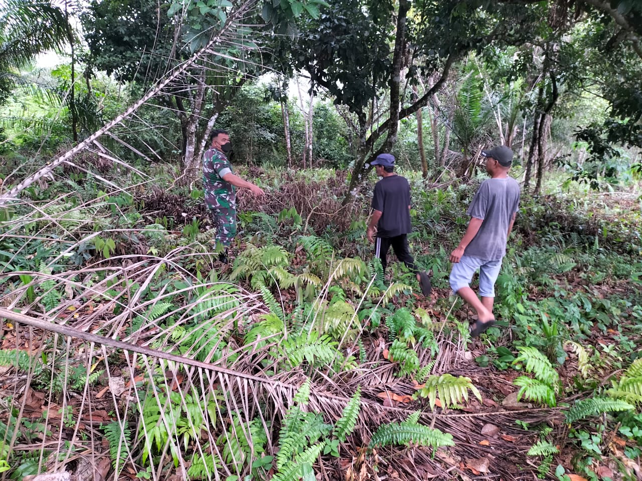 Babinsa Patroli di Areal Rawan Kebakaran Untuk Memastikan Tak Ada  Titik Api