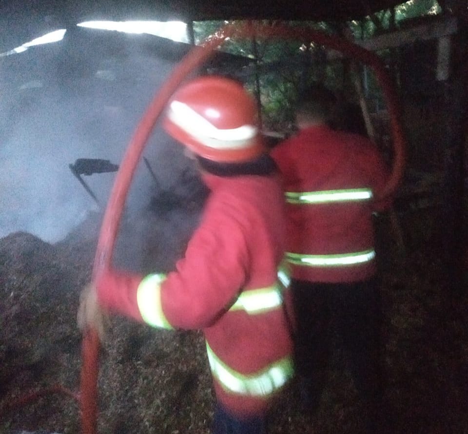 Satu Unit Gudang Palet di Pasir Putih Hangus Terbakar, Petugas Damkar Berhasil Padamkan Api