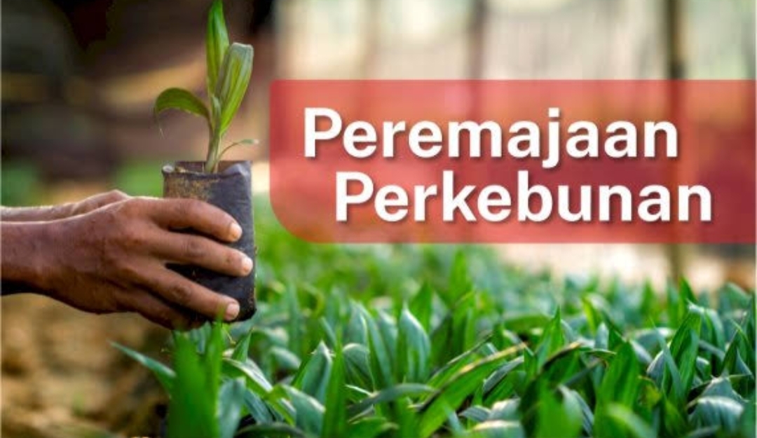 Disbunnak Keswan Kampar Siap Bantu Masyarakat Untuk Mendapatkan Program PSR