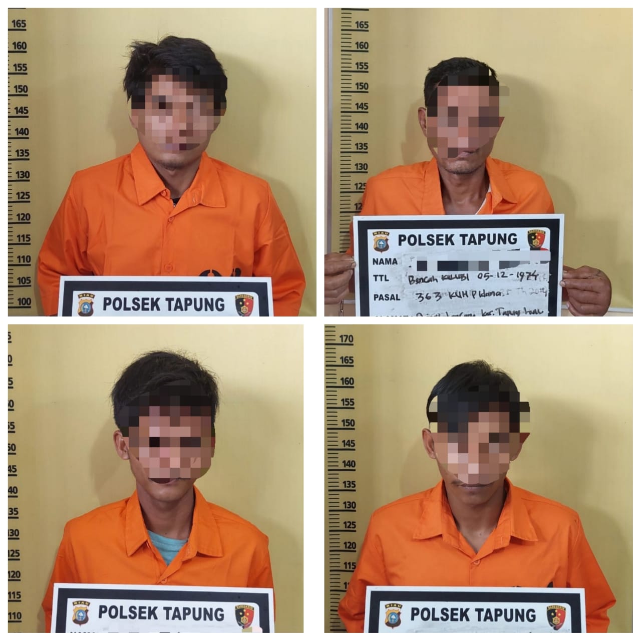 Unit Reskrim Polsek Tapung Amankan 4 Pelaku Pencuri Hewan Ternak