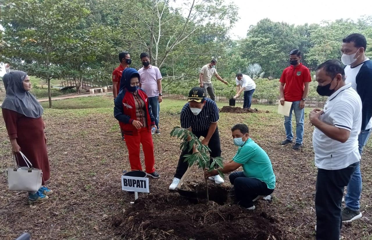 Rawan bencana Banjir, Bupati Rohul Sukiman Ajak Masyarakat Jaga Kelestarian Alam