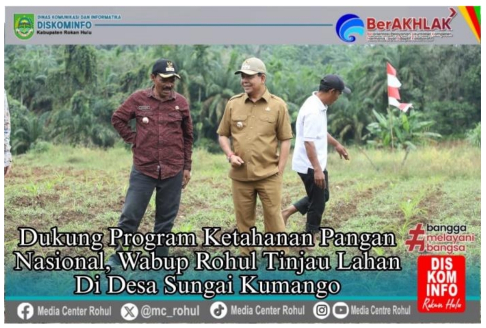 Dukung Program Ketahanan Pangan Nasional Wabup Rohul Tinjau Lahan Di Desa Sungai  Kumango