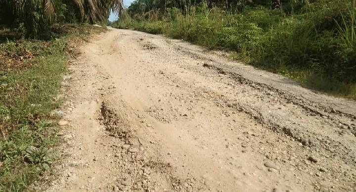 Rusak Parah, Jalan Desa Tabing Menuju Desa Pongkai Belasan Tahun Tak Kunjung Diperbaiki