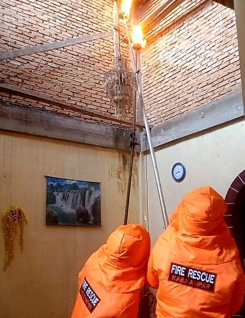 Berbagai Tugas Unik Yang Dilakukan Petugas Damkar, Apa Saja