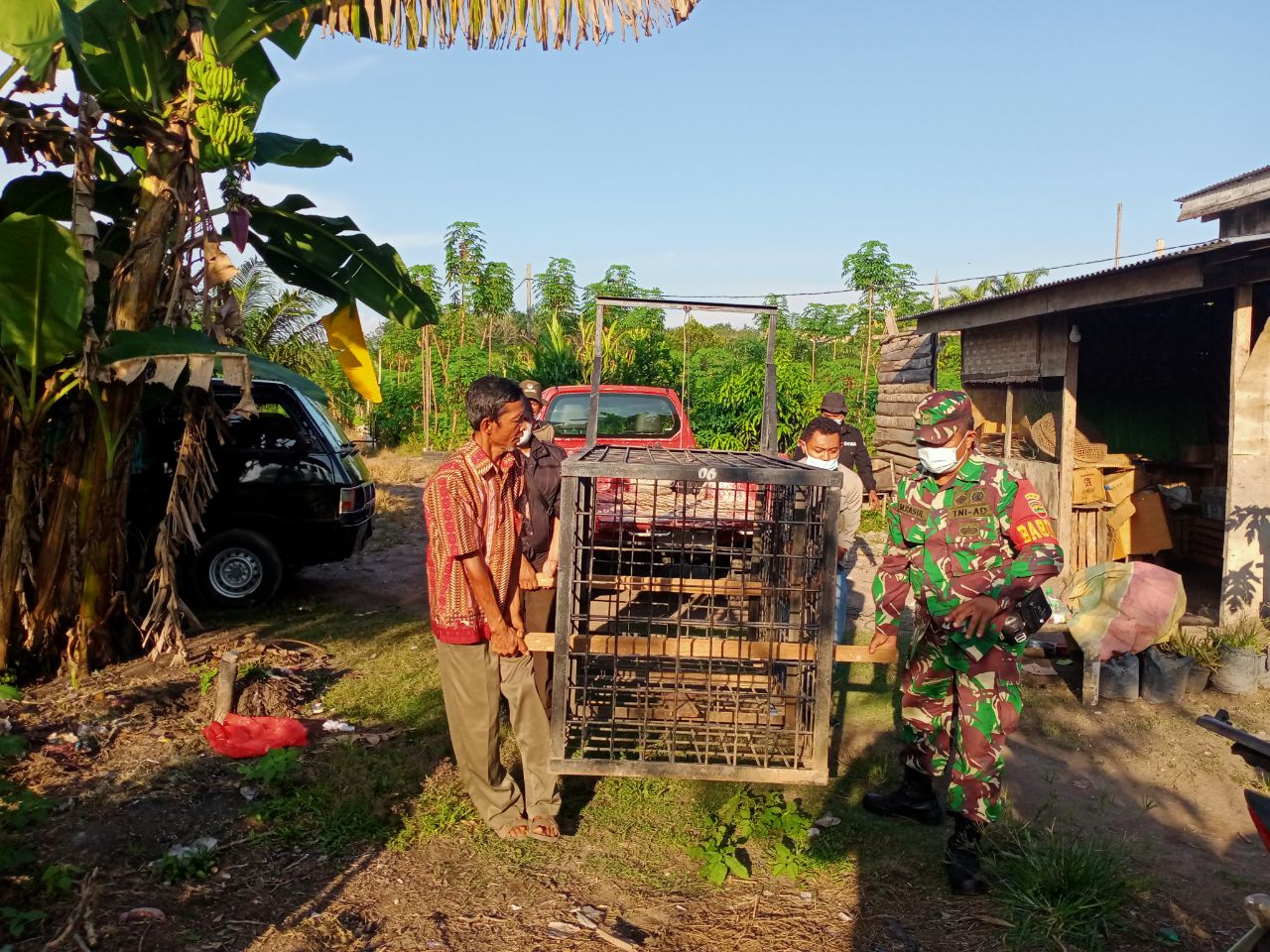 Resahkan Warga, Babinsa dan BKSDA Pasang Perangkap Tangkap Beruang