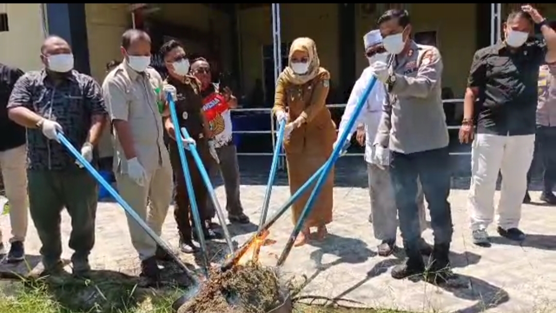 Polres Rokan Hulu Musnahkan 9,5 kg daun Ganja disaksikan Jaksa dan Tersangka