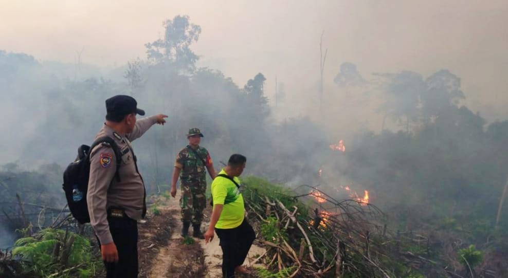 Karhutla Mulai Terjadi di Kabupaten Rokan Hulu Riau