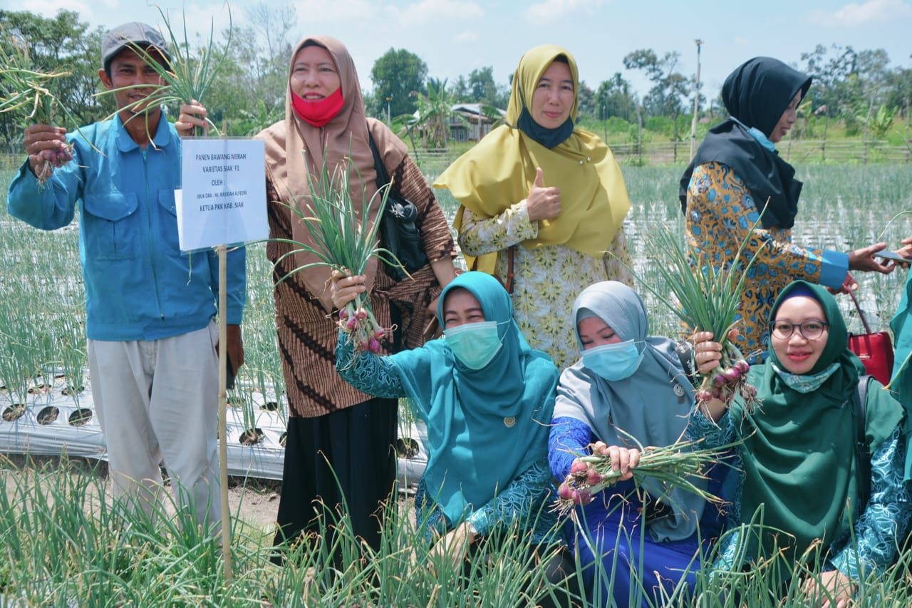 Rasidah Buka Kegiatan Lomba Hatinya PKK. Tema : Kuatkan Ketahanan Pangan Dan Gizi Keluarga Melawan C