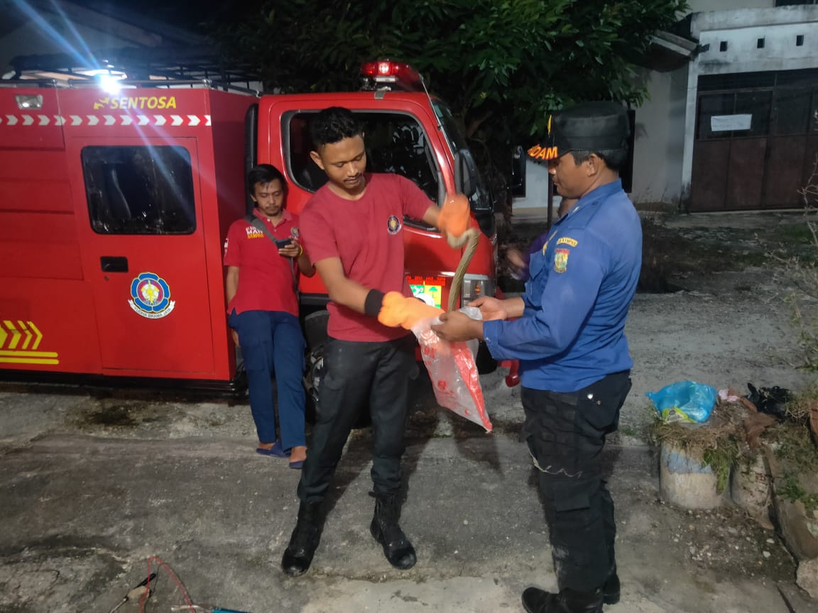 Tim Rescue Damkar dan Penyelamatan Kampar, Berhasil Menangkap Ular Yang Masuk ke Rumah Warga