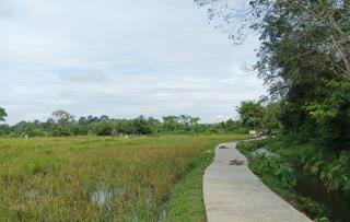 Dinas Pertanian Kampar Sudah Memulai Pembangunan Jalan Usaha Tani di Tahun 2023