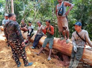 KLHK Hentikan Penebangan Ilegal di Suaka Margasatwa Bukit Rimbang Bukit Baling