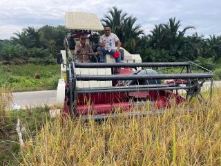 Sistem Pertanian Modern Sudah Diterapkan di Kampar, Hemat Biaya Panen 40 Persen