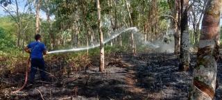 Kebakaran Lahan Warga di Desa Sawah, Petugas Damkar Lakukan Pemadaman
