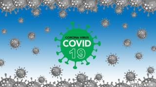 7 Provinsi Laporkan Nihil Kasus Baru Corona pada 16 November