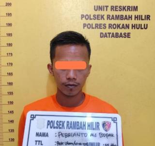 Mantan Oknum Kades di Rohul Jadi Tersangka Maling Sapi