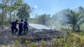 Hari ini Karhutla Terjadi Dibeberapa Titik di Kampar