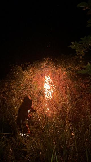 Tim Rescue Pleton ll Damkar dan Penyelamatan Kampar Kembali Lakukan Penanganan Terhadap Tawon Vespa