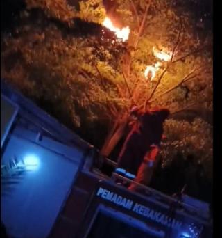 Dinas Damkar dan Penyelamatan Kampar Lakukan Penanganan Terhadap Lebah Dekat Rumah Warga