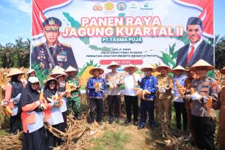 PT Tasma Puja Melakukan Panen Raya Jagung, Bentuk Komitmen Dukung Ketahanan Pangan Nasional