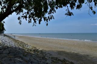 Investor Singapura Berminat Jadikan Rupat utara Untuk Resort Pariwisata