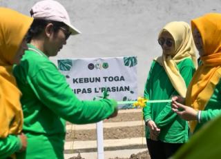 PIPAS Lapas Pasir Pengaraian Wujudkan Lahan Produktif lewat Penanaman TOGA