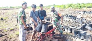 Babinsa Desa Petodaan Serda Ucok Parluhutan Bantu Warga Binaan Dalam Pengerjaan Pembibitan Sawit