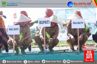 Dorong Pertanian Maju Bupati Rohul Serahkan Bantuan Traktor dan Bibit Padi di Desa Pasir Maju