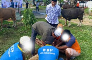 Lapas Pasir Pengaraian Kurban 11 Ekor Sapi dan 7 Ekor Domba Daging Dibagikan untuk Warga Binaan dan 