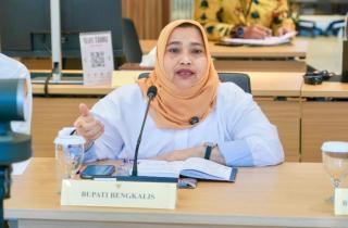 Usulkan Penguatan Infrastruktur dan SDM Kesehatan, Bupati Bengkalis Temui Menkes RI