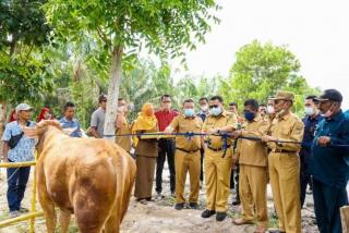 Bupati Kampar Resmikan Pasar Ternak di Sei Lembu Makmur 