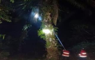 Petugas Damkar Bergerak Cepat Padamkan Api Pada Kebakaran Pohon Sawit di Kampar Kiri Tengah