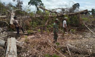 Waspada Kebakaran, Babinsa Koramil 04/Pkl Kuras Lakukan Patroli Karhutla