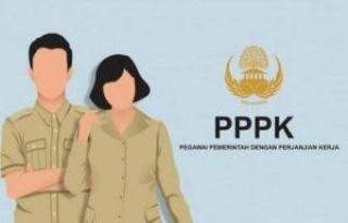 PPPK Yang Lulus Seleksi di Kampar, Tinggal Menunggu Penyerahan SK dan Penempatan, Ini Kata Aidil