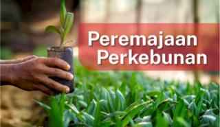 Disbunnak Keswan Kampar Siap Bantu Masyarakat Untuk Mendapatkan Program PSR