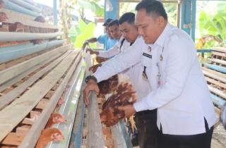 Berdayakan Ternak Ayam Petelur,Lapas Pasir Pengaraian,Perkuat Pembinaan dan Ketahanan Pangan