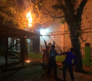 Sarang Tawon di Pohon Perkantoran DPM PTSP Kampar, Dieksekusi Tim Rescue Damkar dan Penyelamatan