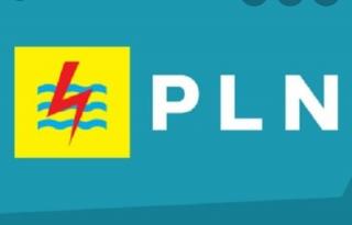 Puluhan KK Masyarakat Desa Pinang Sebatang Timur Harap Tersentuh Aliran Listrik PLN