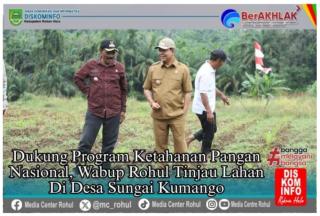 Dukung Program Ketahanan Pangan Nasional Wabup Rohul Tinjau Lahan Di Desa Sungai  Kumango