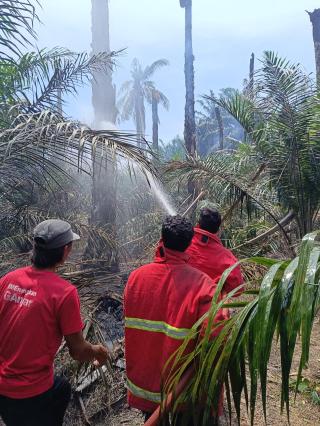 Kebakaran Lahan di Desa Karya Bakti Berhasil Dipadamkan Damkar dan Penyelamatan Kampar