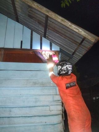 Tim Rescue Damkar dan Penyelamatan Kampar Lakukan Penanganan Terhadap Lebah Madu